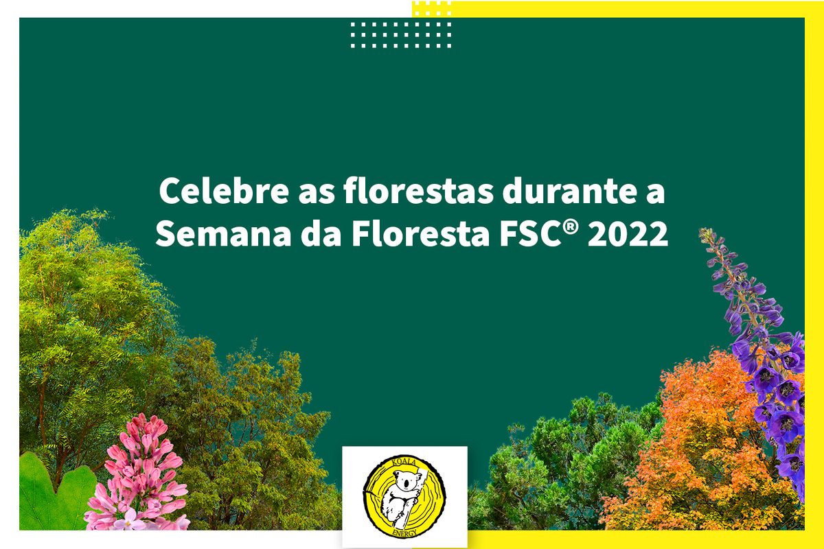 Celebre as florestas durante a Semana da Floresta FSC® 2022