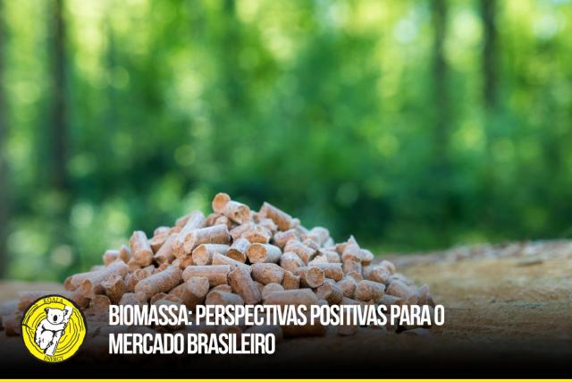 Biomassa: perspectivas positivas para o mercado brasileiro 0